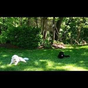 Meet your Posher, Jen